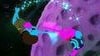 Starwhal: Just the Tip vyjde na PS3 a PS4