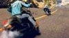 Oznámena hra Motorcycle Club, vyjde letos v listopadu