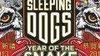 Sleeping Dogs dostal DLC Year of the Snake
