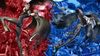 Bayonetta/Bayonetta 2 (Switch)