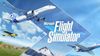 Microsoft Flight Simulator
