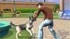 The Sims 3: Pets míří na konzole