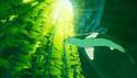 9 minut dlouhé gameplay video na hru ABZÛ