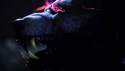 Teaser na akční RPG hru Werewolf: The Apocalypse – Earthblood