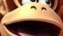 Donkey Kong Country Returns 3D