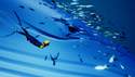 Abzu vyjde v lednu diskově pro PS4 a dokonce i Xbox One