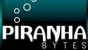Studio Piranha Bytes ještě nekončí, pro svoji další hru v současnosti hledá partnera