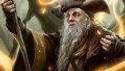 Oznámen Radagast pro Guardians of Middle-earth