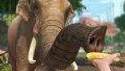 Gameplay záběry z Xbox One her Killer Instinct, Zoo Tycoon a Powerstar Golf