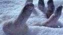 Lost Planet 3 - Frozen to Death trailer