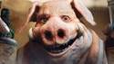 Michel Ancel se rozhodl odejít z videoherního průmyslu, vývoj her Beyond Good and Evil 2 a WiLD to neovlivní