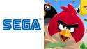 Wall Street Journal: SEGA se blíží k získání tvůrců Angry Birds za 1 miliardu dolarů 