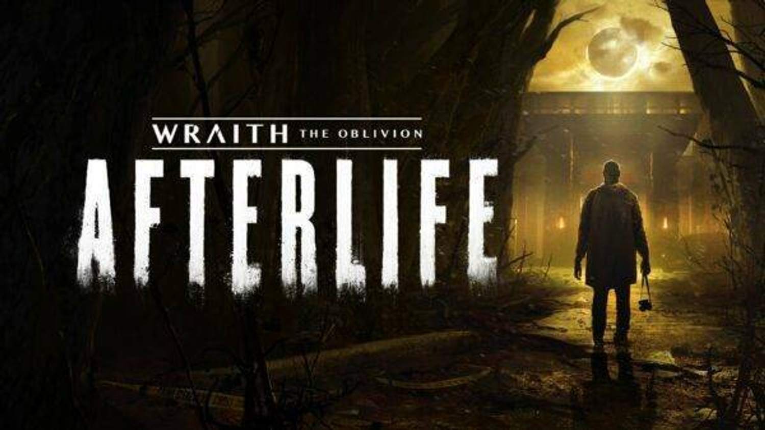 Oznámena hra Wraith: The Oblivion – Afterlife