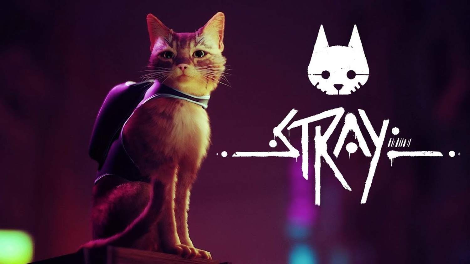 Vznikne animovaný film podle populární kočičí dobrodružné hry Stray