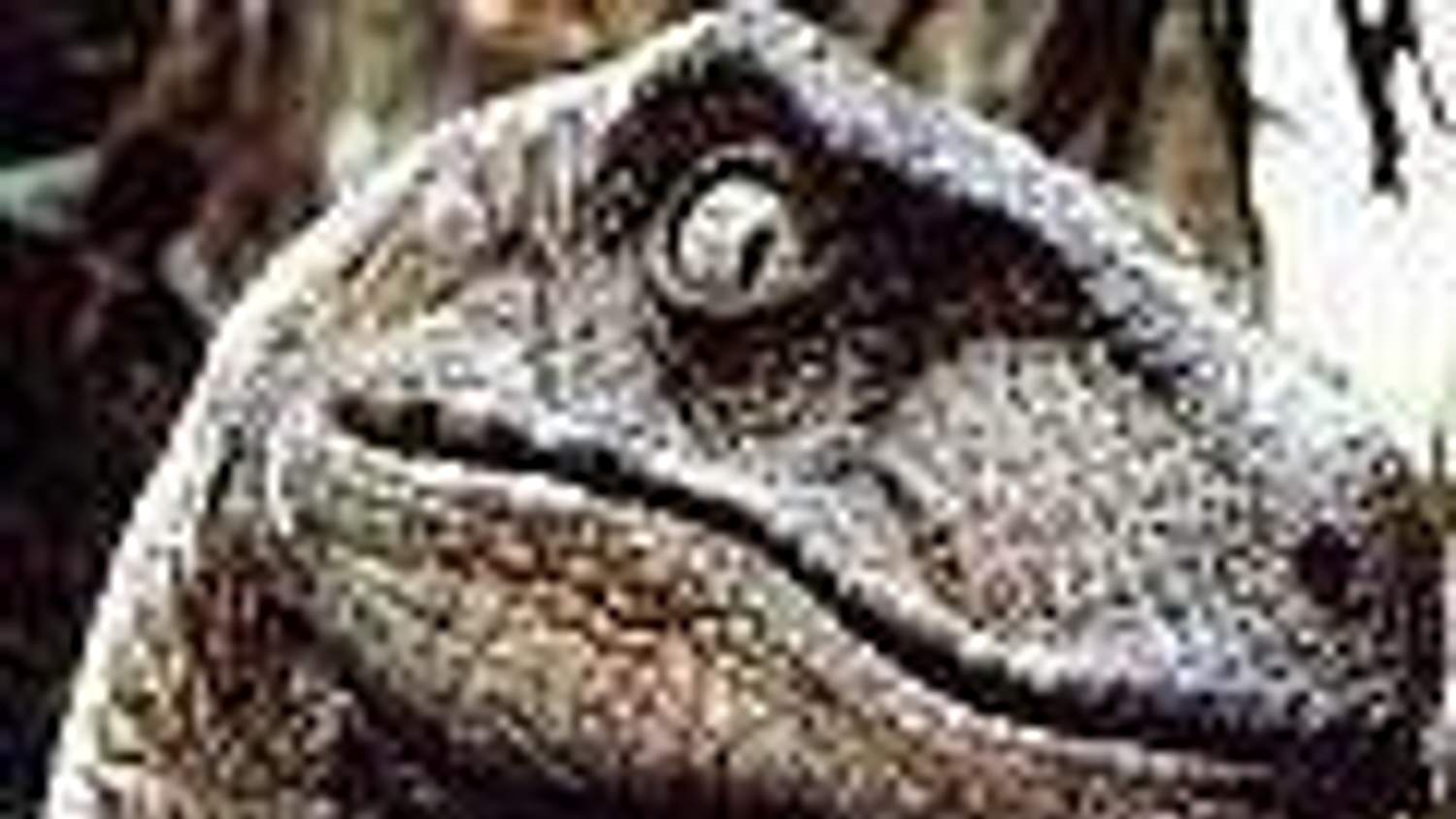 Vývojáři z Telltale Games chválí svoji hru Jurassic Park