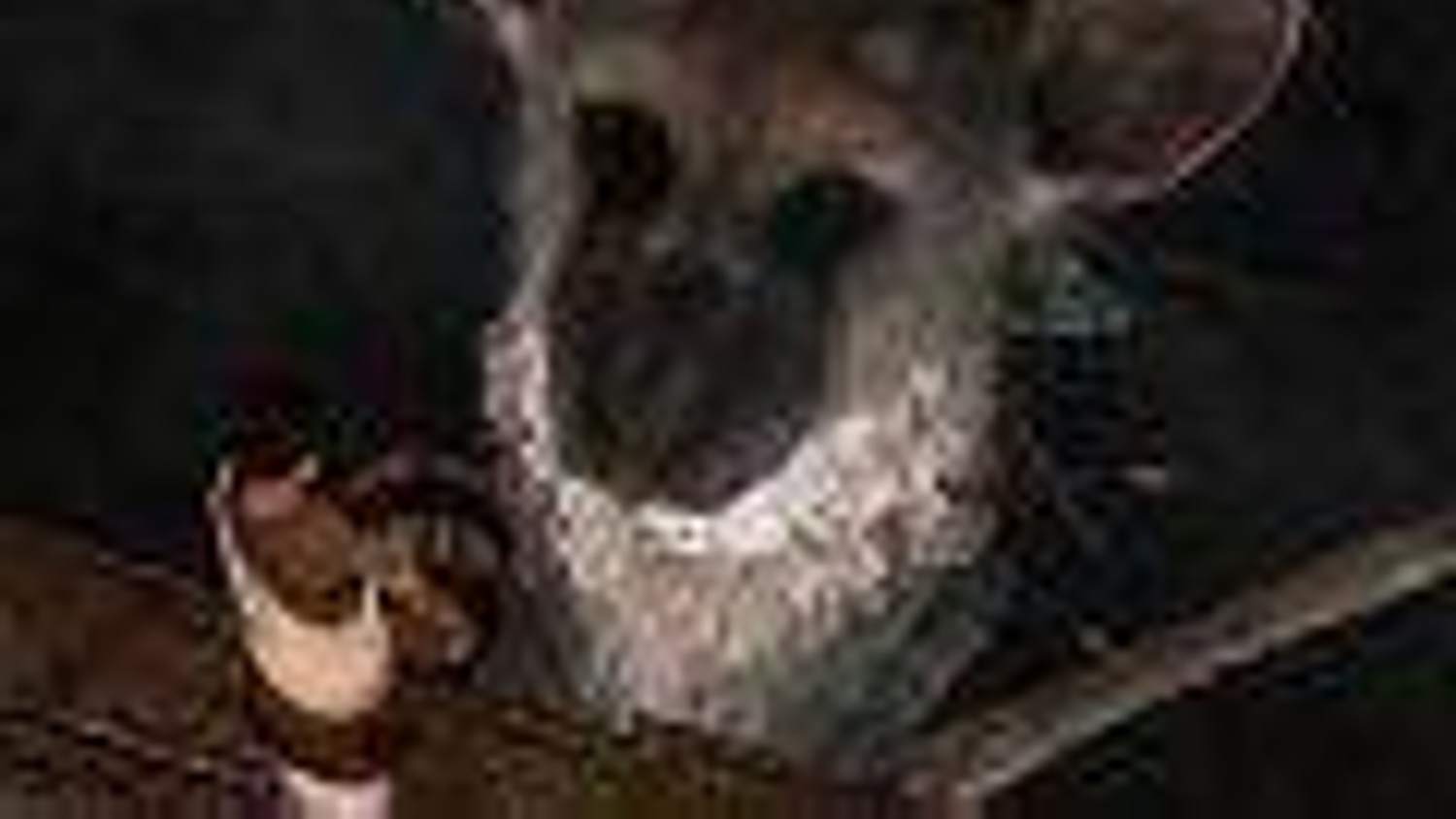 The Last Guardian je zřejmě ve vývoji pro PS4