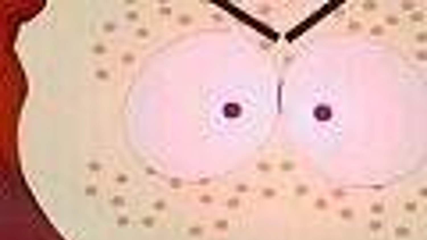 South Park: Tenorman’s Revenge Teaser