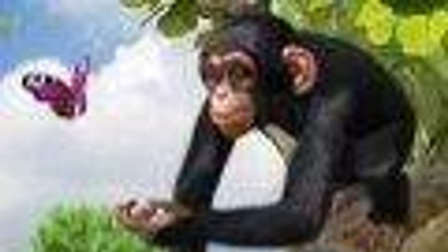 Zoo Tycoon na Xbox 360 bude ochuzen o řadu prvků