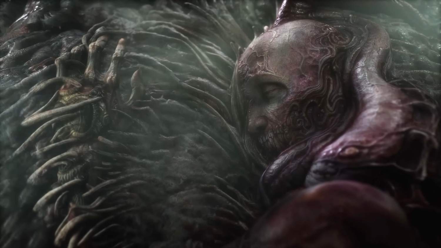 Scorn