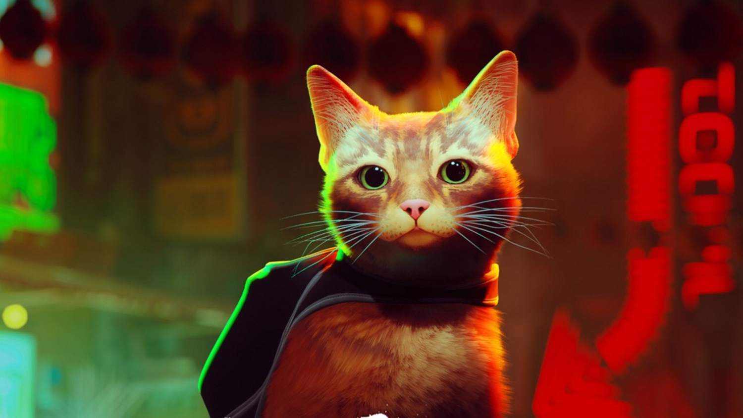 Kočičí dobrodružná hra Stray dostává první známky