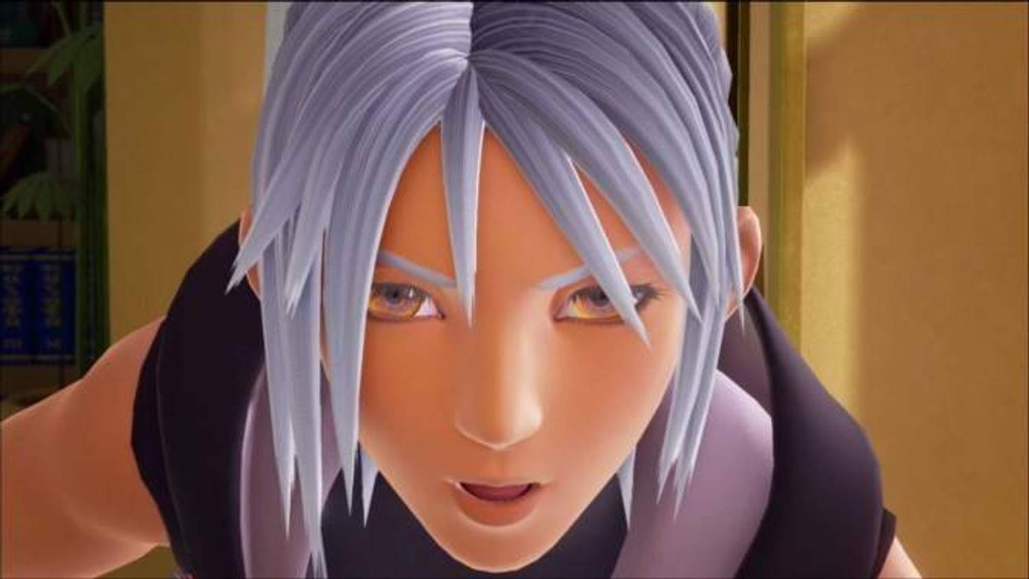 Square Enix oznámil Kingdom Hearts HD 1.5 + 2.5 Remix pro PS4