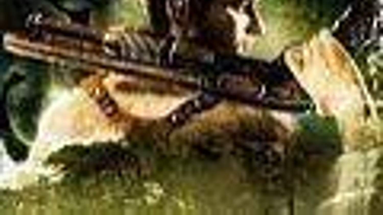 Uncharted NGP