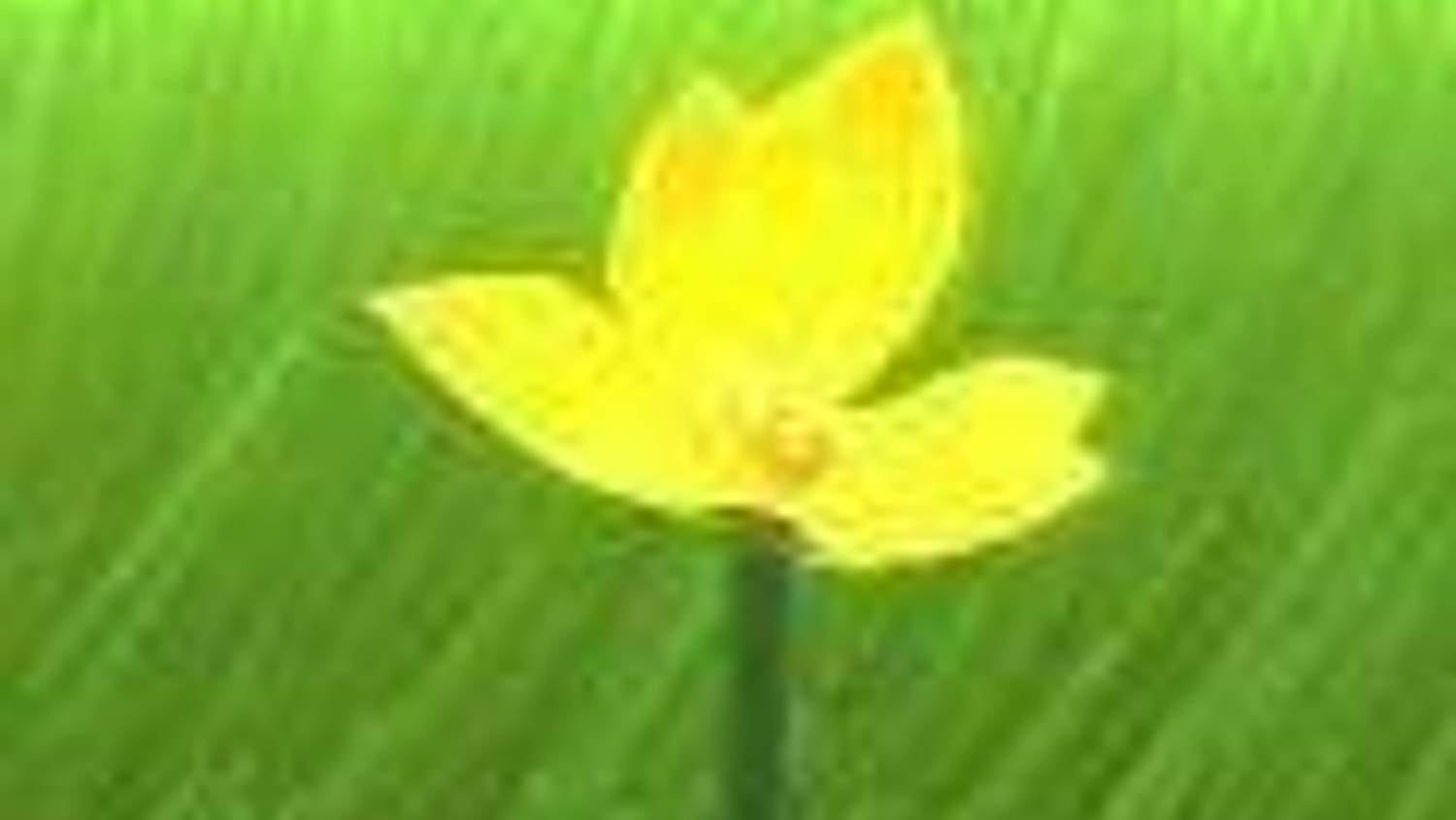 Hra flower poběží na PS4 v 1080p/60fps