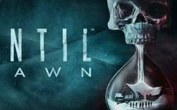 Until Dawn