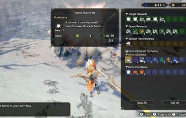 Monster Hunter Rise