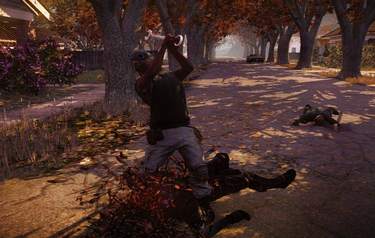 State of Decay