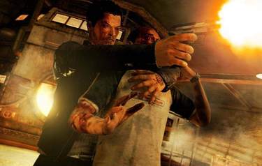 Sleeping Dogs