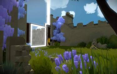 The Witness