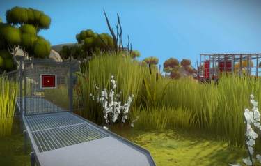 The Witness
