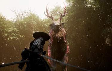 Beast of Reincarnation