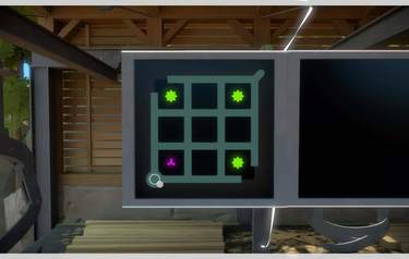 The Witness