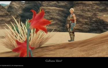 Final Fantasy XII: The Zodiac Age
