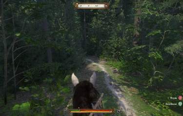 Kingdom Come: Deliverance