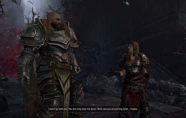 Lord of the Fallen