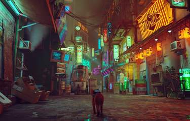Stray