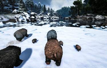 ARK: Survival Evolved
