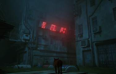 Stray