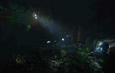 SOMA