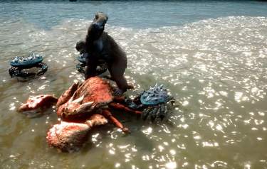 Skull Island: Rise of Kong