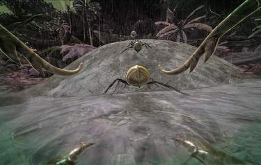 ARK: Survival Evolved