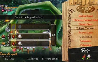 Odin Sphere Leifthrasir
