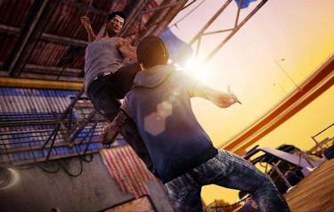 Sleeping Dogs