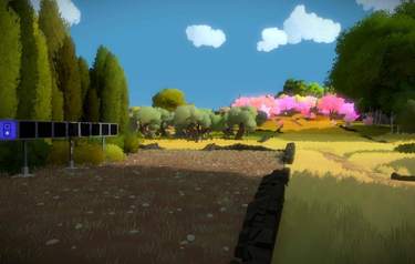 The Witness