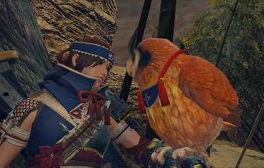 Monster Hunter Rise