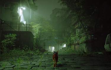 Stray