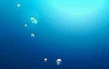 Lost in Blue